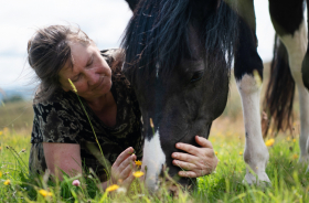  Meeting Horses Halfway: Emotional Fitness & True Connection