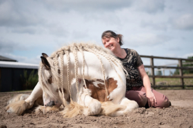 What is Equine Facilitated Learning, and How Can It Help Me?