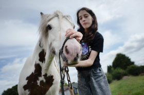 Don’t Ask the Horse to Carry It Alone