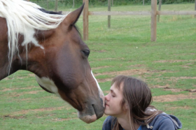 How do we learn to truly communicate with our horses?