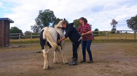 Healing in Partnership – When Two Paths Meet