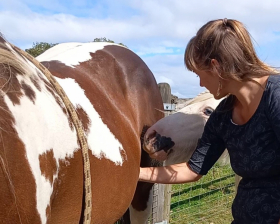 Healing Through Connection