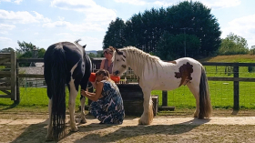 Lessons from the Herd with Sandra